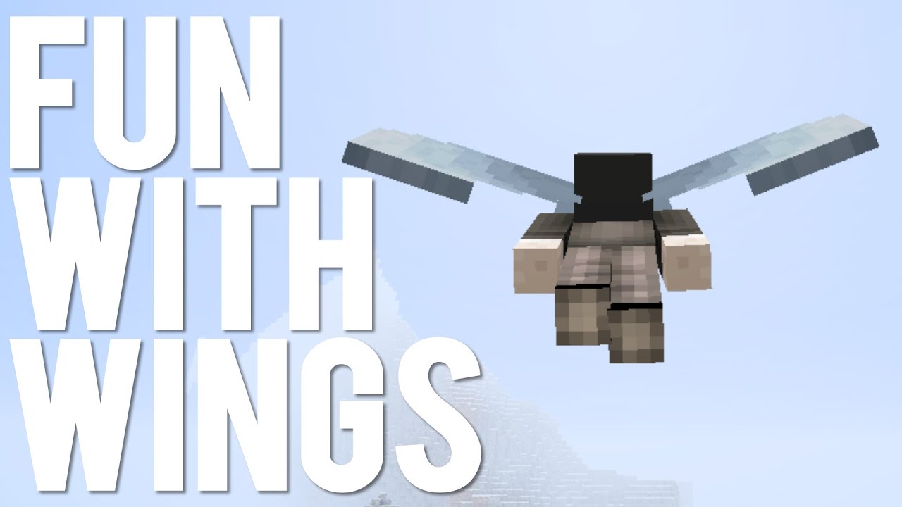 picture of flying with elytra wings.